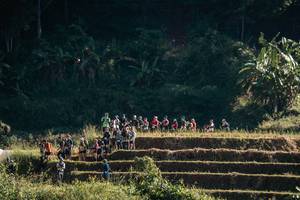 BIB: 
                            <button type="button" onclick="openModal(19371958)" class="btn btn-primary btn-sm float-right btn-popup" data-toggle="modal" data-target=".modal-high-quality">
                        <i class="fas fa-shopping-cart"></i> Add to Cart
                    </button>
                                            <button type="button" onclick="isThisMe(19371958, true)" class="btn btn-success btn-sm float-right btn-popup btn-isme hidden" data-toggle="tooltip" data-placement="bottom" title="นี่คือรูปของคุณใช่ไหม คลิกที่นี่เพื่อเอาเข้าอัลบั้ม">
                        <i class="fas fa-plus"></i> Add to album
                    </button>
                    <button type="button" onclick="isThisMe(19371958, false)" class="btn btn-warning btn-sm float-right btn-popup btn-isnotme hidden">
                        <i class="fas fa-ban"></i> Remove from album
                    </button>