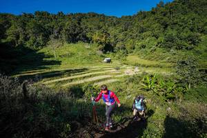 BIB: 
                            <button type="button" onclick="openModal(19372233)" class="btn btn-primary btn-sm float-right btn-popup" data-toggle="modal" data-target=".modal-high-quality">
                        <i class="fas fa-shopping-cart"></i> Add to Cart
                    </button>
                                            <button type="button" onclick="isThisMe(19372233, true)" class="btn btn-success btn-sm float-right btn-popup btn-isme hidden" data-toggle="tooltip" data-placement="bottom" title="นี่คือรูปของคุณใช่ไหม คลิกที่นี่เพื่อเอาเข้าอัลบั้ม">
                        <i class="fas fa-plus"></i> Add to album
                    </button>
                    <button type="button" onclick="isThisMe(19372233, false)" class="btn btn-warning btn-sm float-right btn-popup btn-isnotme hidden">
                        <i class="fas fa-ban"></i> Remove from album
                    </button>