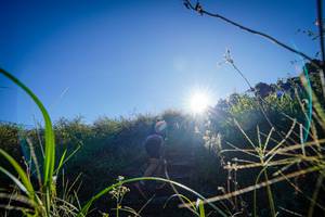 BIB: 
                            <button type="button" onclick="openModal(19372228)" class="btn btn-primary btn-sm float-right btn-popup" data-toggle="modal" data-target=".modal-high-quality">
                        <i class="fas fa-shopping-cart"></i> Add to Cart
                    </button>
                                            <button type="button" onclick="isThisMe(19372228, true)" class="btn btn-success btn-sm float-right btn-popup btn-isme hidden" data-toggle="tooltip" data-placement="bottom" title="นี่คือรูปของคุณใช่ไหม คลิกที่นี่เพื่อเอาเข้าอัลบั้ม">
                        <i class="fas fa-plus"></i> Add to album
                    </button>
                    <button type="button" onclick="isThisMe(19372228, false)" class="btn btn-warning btn-sm float-right btn-popup btn-isnotme hidden">
                        <i class="fas fa-ban"></i> Remove from album
                    </button>