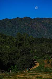 BIB: 
                            <button type="button" onclick="openModal(19372368)" class="btn btn-primary btn-sm float-right btn-popup" data-toggle="modal" data-target=".modal-high-quality">
                        <i class="fas fa-shopping-cart"></i> Add to Cart
                    </button>
                                            <button type="button" onclick="isThisMe(19372368, true)" class="btn btn-success btn-sm float-right btn-popup btn-isme hidden" data-toggle="tooltip" data-placement="bottom" title="นี่คือรูปของคุณใช่ไหม คลิกที่นี่เพื่อเอาเข้าอัลบั้ม">
                        <i class="fas fa-plus"></i> Add to album
                    </button>
                    <button type="button" onclick="isThisMe(19372368, false)" class="btn btn-warning btn-sm float-right btn-popup btn-isnotme hidden">
                        <i class="fas fa-ban"></i> Remove from album
                    </button>