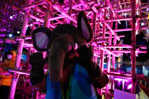 BIB: 
                            <button type="button" onclick="openModal(19372569)" class="btn btn-primary btn-sm float-right btn-popup" data-toggle="modal" data-target=".modal-high-quality">
                        <i class="fas fa-shopping-cart"></i> Add to Cart
                    </button>
                                            <button type="button" onclick="isThisMe(19372569, true)" class="btn btn-success btn-sm float-right btn-popup btn-isme hidden" data-toggle="tooltip" data-placement="bottom" title="นี่คือรูปของคุณใช่ไหม คลิกที่นี่เพื่อเอาเข้าอัลบั้ม">
                        <i class="fas fa-plus"></i> Add to album
                    </button>
                    <button type="button" onclick="isThisMe(19372569, false)" class="btn btn-warning btn-sm float-right btn-popup btn-isnotme hidden">
                        <i class="fas fa-ban"></i> Remove from album
                    </button>