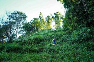 BIB: 
                            <button type="button" onclick="openModal(19372185)" class="btn btn-primary btn-sm float-right btn-popup" data-toggle="modal" data-target=".modal-high-quality">
                        <i class="fas fa-shopping-cart"></i> Add to Cart
                    </button>
                                            <button type="button" onclick="isThisMe(19372185, true)" class="btn btn-success btn-sm float-right btn-popup btn-isme hidden" data-toggle="tooltip" data-placement="bottom" title="นี่คือรูปของคุณใช่ไหม คลิกที่นี่เพื่อเอาเข้าอัลบั้ม">
                        <i class="fas fa-plus"></i> Add to album
                    </button>
                    <button type="button" onclick="isThisMe(19372185, false)" class="btn btn-warning btn-sm float-right btn-popup btn-isnotme hidden">
                        <i class="fas fa-ban"></i> Remove from album
                    </button>