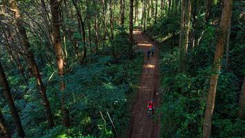 BIB: 
                            <button type="button" onclick="openModal(19372132)" class="btn btn-primary btn-sm float-right btn-popup" data-toggle="modal" data-target=".modal-high-quality">
                        <i class="fas fa-shopping-cart"></i> Add to Cart
                    </button>
                                            <button type="button" onclick="isThisMe(19372132, true)" class="btn btn-success btn-sm float-right btn-popup btn-isme hidden" data-toggle="tooltip" data-placement="bottom" title="นี่คือรูปของคุณใช่ไหม คลิกที่นี่เพื่อเอาเข้าอัลบั้ม">
                        <i class="fas fa-plus"></i> Add to album
                    </button>
                    <button type="button" onclick="isThisMe(19372132, false)" class="btn btn-warning btn-sm float-right btn-popup btn-isnotme hidden">
                        <i class="fas fa-ban"></i> Remove from album
                    </button>