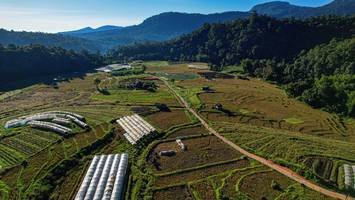 BIB: 
                            <button type="button" onclick="openModal(19372073)" class="btn btn-primary btn-sm float-right btn-popup" data-toggle="modal" data-target=".modal-high-quality">
                        <i class="fas fa-shopping-cart"></i> Add to Cart
                    </button>
                                            <button type="button" onclick="isThisMe(19372073, true)" class="btn btn-success btn-sm float-right btn-popup btn-isme hidden" data-toggle="tooltip" data-placement="bottom" title="นี่คือรูปของคุณใช่ไหม คลิกที่นี่เพื่อเอาเข้าอัลบั้ม">
                        <i class="fas fa-plus"></i> Add to album
                    </button>
                    <button type="button" onclick="isThisMe(19372073, false)" class="btn btn-warning btn-sm float-right btn-popup btn-isnotme hidden">
                        <i class="fas fa-ban"></i> Remove from album
                    </button>