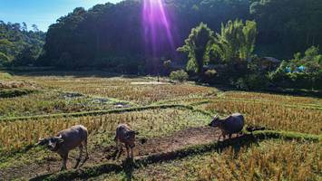 BIB: 
                            <button type="button" onclick="openModal(19372115)" class="btn btn-primary btn-sm float-right btn-popup" data-toggle="modal" data-target=".modal-high-quality">
                        <i class="fas fa-shopping-cart"></i> Add to Cart
                    </button>
                                            <button type="button" onclick="isThisMe(19372115, true)" class="btn btn-success btn-sm float-right btn-popup btn-isme hidden" data-toggle="tooltip" data-placement="bottom" title="นี่คือรูปของคุณใช่ไหม คลิกที่นี่เพื่อเอาเข้าอัลบั้ม">
                        <i class="fas fa-plus"></i> Add to album
                    </button>
                    <button type="button" onclick="isThisMe(19372115, false)" class="btn btn-warning btn-sm float-right btn-popup btn-isnotme hidden">
                        <i class="fas fa-ban"></i> Remove from album
                    </button>