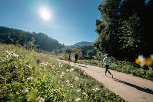 BIB: 
                            <button type="button" onclick="openModal(19372021)" class="btn btn-primary btn-sm float-right btn-popup" data-toggle="modal" data-target=".modal-high-quality">
                        <i class="fas fa-shopping-cart"></i> Add to Cart
                    </button>
                                            <button type="button" onclick="isThisMe(19372021, true)" class="btn btn-success btn-sm float-right btn-popup btn-isme hidden" data-toggle="tooltip" data-placement="bottom" title="นี่คือรูปของคุณใช่ไหม คลิกที่นี่เพื่อเอาเข้าอัลบั้ม">
                        <i class="fas fa-plus"></i> Add to album
                    </button>
                    <button type="button" onclick="isThisMe(19372021, false)" class="btn btn-warning btn-sm float-right btn-popup btn-isnotme hidden">
                        <i class="fas fa-ban"></i> Remove from album
                    </button>