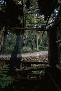 BIB: 
                            <button type="button" onclick="openModal(19372025)" class="btn btn-primary btn-sm float-right btn-popup" data-toggle="modal" data-target=".modal-high-quality">
                        <i class="fas fa-shopping-cart"></i> Add to Cart
                    </button>
                                            <button type="button" onclick="isThisMe(19372025, true)" class="btn btn-success btn-sm float-right btn-popup btn-isme hidden" data-toggle="tooltip" data-placement="bottom" title="นี่คือรูปของคุณใช่ไหม คลิกที่นี่เพื่อเอาเข้าอัลบั้ม">
                        <i class="fas fa-plus"></i> Add to album
                    </button>
                    <button type="button" onclick="isThisMe(19372025, false)" class="btn btn-warning btn-sm float-right btn-popup btn-isnotme hidden">
                        <i class="fas fa-ban"></i> Remove from album
                    </button>