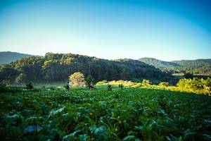 BIB: 
                            <button type="button" onclick="openModal(19372170)" class="btn btn-primary btn-sm float-right btn-popup" data-toggle="modal" data-target=".modal-high-quality">
                        <i class="fas fa-shopping-cart"></i> Add to Cart
                    </button>
                                            <button type="button" onclick="isThisMe(19372170, true)" class="btn btn-success btn-sm float-right btn-popup btn-isme hidden" data-toggle="tooltip" data-placement="bottom" title="นี่คือรูปของคุณใช่ไหม คลิกที่นี่เพื่อเอาเข้าอัลบั้ม">
                        <i class="fas fa-plus"></i> Add to album
                    </button>
                    <button type="button" onclick="isThisMe(19372170, false)" class="btn btn-warning btn-sm float-right btn-popup btn-isnotme hidden">
                        <i class="fas fa-ban"></i> Remove from album
                    </button>