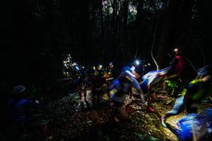 BIB: 
                            <button type="button" onclick="openModal(19372277)" class="btn btn-primary btn-sm float-right btn-popup" data-toggle="modal" data-target=".modal-high-quality">
                        <i class="fas fa-shopping-cart"></i> Add to Cart
                    </button>
                                            <button type="button" onclick="isThisMe(19372277, true)" class="btn btn-success btn-sm float-right btn-popup btn-isme hidden" data-toggle="tooltip" data-placement="bottom" title="นี่คือรูปของคุณใช่ไหม คลิกที่นี่เพื่อเอาเข้าอัลบั้ม">
                        <i class="fas fa-plus"></i> Add to album
                    </button>
                    <button type="button" onclick="isThisMe(19372277, false)" class="btn btn-warning btn-sm float-right btn-popup btn-isnotme hidden">
                        <i class="fas fa-ban"></i> Remove from album
                    </button>