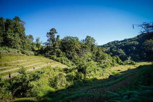 BIB: 
                            <button type="button" onclick="openModal(19372225)" class="btn btn-primary btn-sm float-right btn-popup" data-toggle="modal" data-target=".modal-high-quality">
                        <i class="fas fa-shopping-cart"></i> Add to Cart
                    </button>
                                            <button type="button" onclick="isThisMe(19372225, true)" class="btn btn-success btn-sm float-right btn-popup btn-isme hidden" data-toggle="tooltip" data-placement="bottom" title="นี่คือรูปของคุณใช่ไหม คลิกที่นี่เพื่อเอาเข้าอัลบั้ม">
                        <i class="fas fa-plus"></i> Add to album
                    </button>
                    <button type="button" onclick="isThisMe(19372225, false)" class="btn btn-warning btn-sm float-right btn-popup btn-isnotme hidden">
                        <i class="fas fa-ban"></i> Remove from album
                    </button>