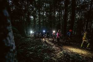 BIB: 
                            <button type="button" onclick="openModal(19371941)" class="btn btn-primary btn-sm float-right btn-popup" data-toggle="modal" data-target=".modal-high-quality">
                        <i class="fas fa-shopping-cart"></i> Add to Cart
                    </button>
                                            <button type="button" onclick="isThisMe(19371941, true)" class="btn btn-success btn-sm float-right btn-popup btn-isme hidden" data-toggle="tooltip" data-placement="bottom" title="นี่คือรูปของคุณใช่ไหม คลิกที่นี่เพื่อเอาเข้าอัลบั้ม">
                        <i class="fas fa-plus"></i> Add to album
                    </button>
                    <button type="button" onclick="isThisMe(19371941, false)" class="btn btn-warning btn-sm float-right btn-popup btn-isnotme hidden">
                        <i class="fas fa-ban"></i> Remove from album
                    </button>