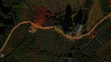 BIB: 4552, 12930
                            <button type="button" onclick="openModal(19372077)" class="btn btn-primary btn-sm float-right btn-popup" data-toggle="modal" data-target=".modal-high-quality">
                        <i class="fas fa-shopping-cart"></i> Add to Cart
                    </button>
                                            <button type="button" onclick="isThisMe(19372077, true)" class="btn btn-success btn-sm float-right btn-popup btn-isme hidden" data-toggle="tooltip" data-placement="bottom" title="นี่คือรูปของคุณใช่ไหม คลิกที่นี่เพื่อเอาเข้าอัลบั้ม">
                        <i class="fas fa-plus"></i> Add to album
                    </button>
                    <button type="button" onclick="isThisMe(19372077, false)" class="btn btn-warning btn-sm float-right btn-popup btn-isnotme hidden">
                        <i class="fas fa-ban"></i> Remove from album
                    </button>