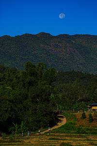 BIB: 
                            <button type="button" onclick="openModal(19372369)" class="btn btn-primary btn-sm float-right btn-popup" data-toggle="modal" data-target=".modal-high-quality">
                        <i class="fas fa-shopping-cart"></i> Add to Cart
                    </button>
                                            <button type="button" onclick="isThisMe(19372369, true)" class="btn btn-success btn-sm float-right btn-popup btn-isme hidden" data-toggle="tooltip" data-placement="bottom" title="นี่คือรูปของคุณใช่ไหม คลิกที่นี่เพื่อเอาเข้าอัลบั้ม">
                        <i class="fas fa-plus"></i> Add to album
                    </button>
                    <button type="button" onclick="isThisMe(19372369, false)" class="btn btn-warning btn-sm float-right btn-popup btn-isnotme hidden">
                        <i class="fas fa-ban"></i> Remove from album
                    </button>