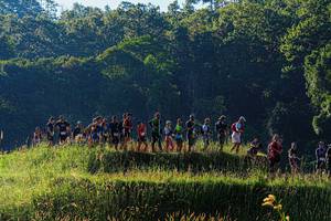 BIB: 
                            <button type="button" onclick="openModal(19372372)" class="btn btn-primary btn-sm float-right btn-popup" data-toggle="modal" data-target=".modal-high-quality">
                        <i class="fas fa-shopping-cart"></i> Add to Cart
                    </button>
                                            <button type="button" onclick="isThisMe(19372372, true)" class="btn btn-success btn-sm float-right btn-popup btn-isme hidden" data-toggle="tooltip" data-placement="bottom" title="นี่คือรูปของคุณใช่ไหม คลิกที่นี่เพื่อเอาเข้าอัลบั้ม">
                        <i class="fas fa-plus"></i> Add to album
                    </button>
                    <button type="button" onclick="isThisMe(19372372, false)" class="btn btn-warning btn-sm float-right btn-popup btn-isnotme hidden">
                        <i class="fas fa-ban"></i> Remove from album
                    </button>