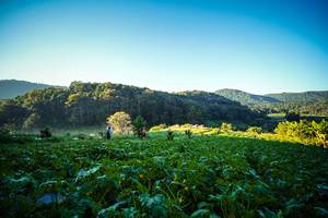 BIB: 
                            <button type="button" onclick="openModal(19372172)" class="btn btn-primary btn-sm float-right btn-popup" data-toggle="modal" data-target=".modal-high-quality">
                        <i class="fas fa-shopping-cart"></i> Add to Cart
                    </button>
                                            <button type="button" onclick="isThisMe(19372172, true)" class="btn btn-success btn-sm float-right btn-popup btn-isme hidden" data-toggle="tooltip" data-placement="bottom" title="นี่คือรูปของคุณใช่ไหม คลิกที่นี่เพื่อเอาเข้าอัลบั้ม">
                        <i class="fas fa-plus"></i> Add to album
                    </button>
                    <button type="button" onclick="isThisMe(19372172, false)" class="btn btn-warning btn-sm float-right btn-popup btn-isnotme hidden">
                        <i class="fas fa-ban"></i> Remove from album
                    </button>