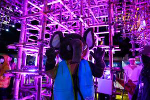 BIB: 
                            <button type="button" onclick="openModal(19372570)" class="btn btn-primary btn-sm float-right btn-popup" data-toggle="modal" data-target=".modal-high-quality">
                        <i class="fas fa-shopping-cart"></i> Add to Cart
                    </button>
                                            <button type="button" onclick="isThisMe(19372570, true)" class="btn btn-success btn-sm float-right btn-popup btn-isme hidden" data-toggle="tooltip" data-placement="bottom" title="นี่คือรูปของคุณใช่ไหม คลิกที่นี่เพื่อเอาเข้าอัลบั้ม">
                        <i class="fas fa-plus"></i> Add to album
                    </button>
                    <button type="button" onclick="isThisMe(19372570, false)" class="btn btn-warning btn-sm float-right btn-popup btn-isnotme hidden">
                        <i class="fas fa-ban"></i> Remove from album
                    </button>