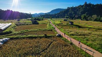 BIB: 
                            <button type="button" onclick="openModal(19372084)" class="btn btn-primary btn-sm float-right btn-popup" data-toggle="modal" data-target=".modal-high-quality">
                        <i class="fas fa-shopping-cart"></i> Add to Cart
                    </button>
                                            <button type="button" onclick="isThisMe(19372084, true)" class="btn btn-success btn-sm float-right btn-popup btn-isme hidden" data-toggle="tooltip" data-placement="bottom" title="นี่คือรูปของคุณใช่ไหม คลิกที่นี่เพื่อเอาเข้าอัลบั้ม">
                        <i class="fas fa-plus"></i> Add to album
                    </button>
                    <button type="button" onclick="isThisMe(19372084, false)" class="btn btn-warning btn-sm float-right btn-popup btn-isnotme hidden">
                        <i class="fas fa-ban"></i> Remove from album
                    </button>