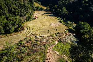 BIB: 
                            <button type="button" onclick="openModal(19372247)" class="btn btn-primary btn-sm float-right btn-popup" data-toggle="modal" data-target=".modal-high-quality">
                        <i class="fas fa-shopping-cart"></i> Add to Cart
                    </button>
                                            <button type="button" onclick="isThisMe(19372247, true)" class="btn btn-success btn-sm float-right btn-popup btn-isme hidden" data-toggle="tooltip" data-placement="bottom" title="นี่คือรูปของคุณใช่ไหม คลิกที่นี่เพื่อเอาเข้าอัลบั้ม">
                        <i class="fas fa-plus"></i> Add to album
                    </button>
                    <button type="button" onclick="isThisMe(19372247, false)" class="btn btn-warning btn-sm float-right btn-popup btn-isnotme hidden">
                        <i class="fas fa-ban"></i> Remove from album
                    </button>