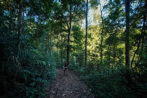 BIB: 
                            <button type="button" onclick="openModal(19372169)" class="btn btn-primary btn-sm float-right btn-popup" data-toggle="modal" data-target=".modal-high-quality">
                        <i class="fas fa-shopping-cart"></i> Add to Cart
                    </button>
                                            <button type="button" onclick="isThisMe(19372169, true)" class="btn btn-success btn-sm float-right btn-popup btn-isme hidden" data-toggle="tooltip" data-placement="bottom" title="นี่คือรูปของคุณใช่ไหม คลิกที่นี่เพื่อเอาเข้าอัลบั้ม">
                        <i class="fas fa-plus"></i> Add to album
                    </button>
                    <button type="button" onclick="isThisMe(19372169, false)" class="btn btn-warning btn-sm float-right btn-popup btn-isnotme hidden">
                        <i class="fas fa-ban"></i> Remove from album
                    </button>