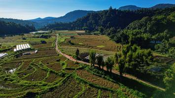 BIB: 
                            <button type="button" onclick="openModal(19372082)" class="btn btn-primary btn-sm float-right btn-popup" data-toggle="modal" data-target=".modal-high-quality">
                        <i class="fas fa-shopping-cart"></i> Add to Cart
                    </button>
                                            <button type="button" onclick="isThisMe(19372082, true)" class="btn btn-success btn-sm float-right btn-popup btn-isme hidden" data-toggle="tooltip" data-placement="bottom" title="นี่คือรูปของคุณใช่ไหม คลิกที่นี่เพื่อเอาเข้าอัลบั้ม">
                        <i class="fas fa-plus"></i> Add to album
                    </button>
                    <button type="button" onclick="isThisMe(19372082, false)" class="btn btn-warning btn-sm float-right btn-popup btn-isnotme hidden">
                        <i class="fas fa-ban"></i> Remove from album
                    </button>