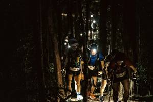 BIB: 
                            <button type="button" onclick="openModal(19371979)" class="btn btn-primary btn-sm float-right btn-popup" data-toggle="modal" data-target=".modal-high-quality">
                        <i class="fas fa-shopping-cart"></i> Add to Cart
                    </button>
                                            <button type="button" onclick="isThisMe(19371979, true)" class="btn btn-success btn-sm float-right btn-popup btn-isme hidden" data-toggle="tooltip" data-placement="bottom" title="นี่คือรูปของคุณใช่ไหม คลิกที่นี่เพื่อเอาเข้าอัลบั้ม">
                        <i class="fas fa-plus"></i> Add to album
                    </button>
                    <button type="button" onclick="isThisMe(19371979, false)" class="btn btn-warning btn-sm float-right btn-popup btn-isnotme hidden">
                        <i class="fas fa-ban"></i> Remove from album
                    </button>