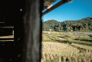 BIB: 
                            <button type="button" onclick="openModal(19372013)" class="btn btn-primary btn-sm float-right btn-popup" data-toggle="modal" data-target=".modal-high-quality">
                        <i class="fas fa-shopping-cart"></i> Add to Cart
                    </button>
                                            <button type="button" onclick="isThisMe(19372013, true)" class="btn btn-success btn-sm float-right btn-popup btn-isme hidden" data-toggle="tooltip" data-placement="bottom" title="นี่คือรูปของคุณใช่ไหม คลิกที่นี่เพื่อเอาเข้าอัลบั้ม">
                        <i class="fas fa-plus"></i> Add to album
                    </button>
                    <button type="button" onclick="isThisMe(19372013, false)" class="btn btn-warning btn-sm float-right btn-popup btn-isnotme hidden">
                        <i class="fas fa-ban"></i> Remove from album
                    </button>