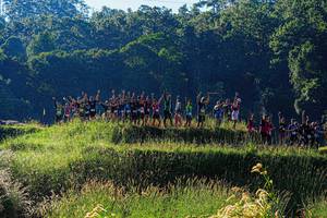 BIB: 
                            <button type="button" onclick="openModal(19372377)" class="btn btn-primary btn-sm float-right btn-popup" data-toggle="modal" data-target=".modal-high-quality">
                        <i class="fas fa-shopping-cart"></i> Add to Cart
                    </button>
                                            <button type="button" onclick="isThisMe(19372377, true)" class="btn btn-success btn-sm float-right btn-popup btn-isme hidden" data-toggle="tooltip" data-placement="bottom" title="นี่คือรูปของคุณใช่ไหม คลิกที่นี่เพื่อเอาเข้าอัลบั้ม">
                        <i class="fas fa-plus"></i> Add to album
                    </button>
                    <button type="button" onclick="isThisMe(19372377, false)" class="btn btn-warning btn-sm float-right btn-popup btn-isnotme hidden">
                        <i class="fas fa-ban"></i> Remove from album
                    </button>