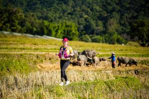 BIB: 
                            <button type="button" onclick="openModal(19128306)" class="btn btn-primary btn-sm float-right btn-popup" data-toggle="modal" data-target=".modal-high-quality">
                        <i class="fas fa-shopping-cart"></i> Add to Cart
                    </button>
                                            <button type="button" onclick="isThisMe(19128306, true)" class="btn btn-success btn-sm float-right btn-popup btn-isme hidden" data-toggle="tooltip" data-placement="bottom" title="นี่คือรูปของคุณใช่ไหม คลิกที่นี่เพื่อเอาเข้าอัลบั้ม">
                        <i class="fas fa-plus"></i> Add to album
                    </button>
                    <button type="button" onclick="isThisMe(19128306, false)" class="btn btn-warning btn-sm float-right btn-popup btn-isnotme hidden">
                        <i class="fas fa-ban"></i> Remove from album
                    </button>