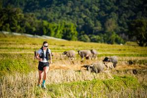 BIB: 
                            <button type="button" onclick="openModal(19127496)" class="btn btn-primary btn-sm float-right btn-popup" data-toggle="modal" data-target=".modal-high-quality">
                        <i class="fas fa-shopping-cart"></i> Add to Cart
                    </button>
                                            <button type="button" onclick="isThisMe(19127496, true)" class="btn btn-success btn-sm float-right btn-popup btn-isme hidden" data-toggle="tooltip" data-placement="bottom" title="นี่คือรูปของคุณใช่ไหม คลิกที่นี่เพื่อเอาเข้าอัลบั้ม">
                        <i class="fas fa-plus"></i> Add to album
                    </button>
                    <button type="button" onclick="isThisMe(19127496, false)" class="btn btn-warning btn-sm float-right btn-popup btn-isnotme hidden">
                        <i class="fas fa-ban"></i> Remove from album
                    </button>