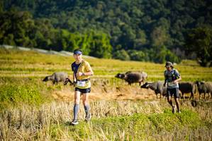 BIB: 
                            <button type="button" onclick="openModal(19127579)" class="btn btn-primary btn-sm float-right btn-popup" data-toggle="modal" data-target=".modal-high-quality">
                        <i class="fas fa-shopping-cart"></i> Add to Cart
                    </button>
                                            <button type="button" onclick="isThisMe(19127579, true)" class="btn btn-success btn-sm float-right btn-popup btn-isme hidden" data-toggle="tooltip" data-placement="bottom" title="นี่คือรูปของคุณใช่ไหม คลิกที่นี่เพื่อเอาเข้าอัลบั้ม">
                        <i class="fas fa-plus"></i> Add to album
                    </button>
                    <button type="button" onclick="isThisMe(19127579, false)" class="btn btn-warning btn-sm float-right btn-popup btn-isnotme hidden">
                        <i class="fas fa-ban"></i> Remove from album
                    </button>