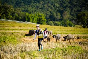 BIB: 
                            <button type="button" onclick="openModal(19127912)" class="btn btn-primary btn-sm float-right btn-popup" data-toggle="modal" data-target=".modal-high-quality">
                        <i class="fas fa-shopping-cart"></i> Add to Cart
                    </button>
                                            <button type="button" onclick="isThisMe(19127912, true)" class="btn btn-success btn-sm float-right btn-popup btn-isme hidden" data-toggle="tooltip" data-placement="bottom" title="นี่คือรูปของคุณใช่ไหม คลิกที่นี่เพื่อเอาเข้าอัลบั้ม">
                        <i class="fas fa-plus"></i> Add to album
                    </button>
                    <button type="button" onclick="isThisMe(19127912, false)" class="btn btn-warning btn-sm float-right btn-popup btn-isnotme hidden">
                        <i class="fas fa-ban"></i> Remove from album
                    </button>