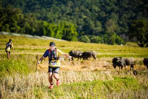 BIB: 
                            <button type="button" onclick="openModal(19127875)" class="btn btn-primary btn-sm float-right btn-popup" data-toggle="modal" data-target=".modal-high-quality">
                        <i class="fas fa-shopping-cart"></i> Add to Cart
                    </button>
                                            <button type="button" onclick="isThisMe(19127875, true)" class="btn btn-success btn-sm float-right btn-popup btn-isme hidden" data-toggle="tooltip" data-placement="bottom" title="นี่คือรูปของคุณใช่ไหม คลิกที่นี่เพื่อเอาเข้าอัลบั้ม">
                        <i class="fas fa-plus"></i> Add to album
                    </button>
                    <button type="button" onclick="isThisMe(19127875, false)" class="btn btn-warning btn-sm float-right btn-popup btn-isnotme hidden">
                        <i class="fas fa-ban"></i> Remove from album
                    </button>