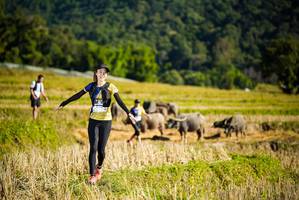 BIB: 
                            <button type="button" onclick="openModal(19127982)" class="btn btn-primary btn-sm float-right btn-popup" data-toggle="modal" data-target=".modal-high-quality">
                        <i class="fas fa-shopping-cart"></i> Add to Cart
                    </button>
                                            <button type="button" onclick="isThisMe(19127982, true)" class="btn btn-success btn-sm float-right btn-popup btn-isme hidden" data-toggle="tooltip" data-placement="bottom" title="นี่คือรูปของคุณใช่ไหม คลิกที่นี่เพื่อเอาเข้าอัลบั้ม">
                        <i class="fas fa-plus"></i> Add to album
                    </button>
                    <button type="button" onclick="isThisMe(19127982, false)" class="btn btn-warning btn-sm float-right btn-popup btn-isnotme hidden">
                        <i class="fas fa-ban"></i> Remove from album
                    </button>