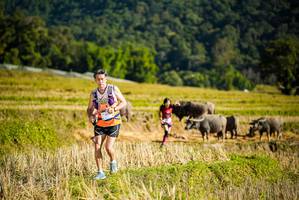 BIB: 
                            <button type="button" onclick="openModal(19127705)" class="btn btn-primary btn-sm float-right btn-popup" data-toggle="modal" data-target=".modal-high-quality">
                        <i class="fas fa-shopping-cart"></i> Add to Cart
                    </button>
                                            <button type="button" onclick="isThisMe(19127705, true)" class="btn btn-success btn-sm float-right btn-popup btn-isme hidden" data-toggle="tooltip" data-placement="bottom" title="นี่คือรูปของคุณใช่ไหม คลิกที่นี่เพื่อเอาเข้าอัลบั้ม">
                        <i class="fas fa-plus"></i> Add to album
                    </button>
                    <button type="button" onclick="isThisMe(19127705, false)" class="btn btn-warning btn-sm float-right btn-popup btn-isnotme hidden">
                        <i class="fas fa-ban"></i> Remove from album
                    </button>