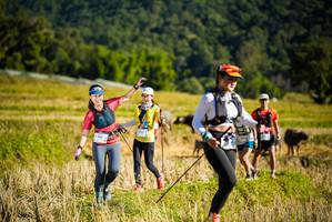 BIB: 
                            <button type="button" onclick="openModal(19128169)" class="btn btn-primary btn-sm float-right btn-popup" data-toggle="modal" data-target=".modal-high-quality">
                        <i class="fas fa-shopping-cart"></i> Add to Cart
                    </button>
                                            <button type="button" onclick="isThisMe(19128169, true)" class="btn btn-success btn-sm float-right btn-popup btn-isme hidden" data-toggle="tooltip" data-placement="bottom" title="นี่คือรูปของคุณใช่ไหม คลิกที่นี่เพื่อเอาเข้าอัลบั้ม">
                        <i class="fas fa-plus"></i> Add to album
                    </button>
                    <button type="button" onclick="isThisMe(19128169, false)" class="btn btn-warning btn-sm float-right btn-popup btn-isnotme hidden">
                        <i class="fas fa-ban"></i> Remove from album
                    </button>