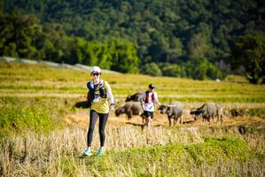 BIB: 
                            <button type="button" onclick="openModal(19127916)" class="btn btn-primary btn-sm float-right btn-popup" data-toggle="modal" data-target=".modal-high-quality">
                        <i class="fas fa-shopping-cart"></i> Add to Cart
                    </button>
                                            <button type="button" onclick="isThisMe(19127916, true)" class="btn btn-success btn-sm float-right btn-popup btn-isme hidden" data-toggle="tooltip" data-placement="bottom" title="นี่คือรูปของคุณใช่ไหม คลิกที่นี่เพื่อเอาเข้าอัลบั้ม">
                        <i class="fas fa-plus"></i> Add to album
                    </button>
                    <button type="button" onclick="isThisMe(19127916, false)" class="btn btn-warning btn-sm float-right btn-popup btn-isnotme hidden">
                        <i class="fas fa-ban"></i> Remove from album
                    </button>