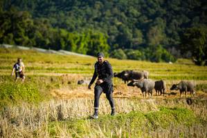 BIB: 
                            <button type="button" onclick="openModal(19127755)" class="btn btn-primary btn-sm float-right btn-popup" data-toggle="modal" data-target=".modal-high-quality">
                        <i class="fas fa-shopping-cart"></i> Add to Cart
                    </button>
                                            <button type="button" onclick="isThisMe(19127755, true)" class="btn btn-success btn-sm float-right btn-popup btn-isme hidden" data-toggle="tooltip" data-placement="bottom" title="นี่คือรูปของคุณใช่ไหม คลิกที่นี่เพื่อเอาเข้าอัลบั้ม">
                        <i class="fas fa-plus"></i> Add to album
                    </button>
                    <button type="button" onclick="isThisMe(19127755, false)" class="btn btn-warning btn-sm float-right btn-popup btn-isnotme hidden">
                        <i class="fas fa-ban"></i> Remove from album
                    </button>