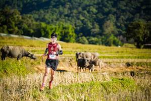 BIB: 1337
                            <button type="button" onclick="openModal(19127376)" class="btn btn-primary btn-sm float-right btn-popup" data-toggle="modal" data-target=".modal-high-quality">
                        <i class="fas fa-shopping-cart"></i> Add to Cart
                    </button>
                                            <button type="button" onclick="isThisMe(19127376, true)" class="btn btn-success btn-sm float-right btn-popup btn-isme hidden" data-toggle="tooltip" data-placement="bottom" title="นี่คือรูปของคุณใช่ไหม คลิกที่นี่เพื่อเอาเข้าอัลบั้ม">
                        <i class="fas fa-plus"></i> Add to album
                    </button>
                    <button type="button" onclick="isThisMe(19127376, false)" class="btn btn-warning btn-sm float-right btn-popup btn-isnotme hidden">
                        <i class="fas fa-ban"></i> Remove from album
                    </button>