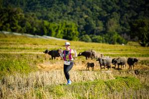 BIB: 1479
                            <button type="button" onclick="openModal(19128212)" class="btn btn-primary btn-sm float-right btn-popup" data-toggle="modal" data-target=".modal-high-quality">
                        <i class="fas fa-shopping-cart"></i> Add to Cart
                    </button>
                                            <button type="button" onclick="isThisMe(19128212, true)" class="btn btn-success btn-sm float-right btn-popup btn-isme hidden" data-toggle="tooltip" data-placement="bottom" title="นี่คือรูปของคุณใช่ไหม คลิกที่นี่เพื่อเอาเข้าอัลบั้ม">
                        <i class="fas fa-plus"></i> Add to album
                    </button>
                    <button type="button" onclick="isThisMe(19128212, false)" class="btn btn-warning btn-sm float-right btn-popup btn-isnotme hidden">
                        <i class="fas fa-ban"></i> Remove from album
                    </button>