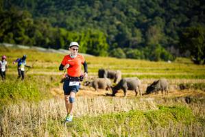 BIB: 
                            <button type="button" onclick="openModal(19127950)" class="btn btn-primary btn-sm float-right btn-popup" data-toggle="modal" data-target=".modal-high-quality">
                        <i class="fas fa-shopping-cart"></i> Add to Cart
                    </button>
                                            <button type="button" onclick="isThisMe(19127950, true)" class="btn btn-success btn-sm float-right btn-popup btn-isme hidden" data-toggle="tooltip" data-placement="bottom" title="นี่คือรูปของคุณใช่ไหม คลิกที่นี่เพื่อเอาเข้าอัลบั้ม">
                        <i class="fas fa-plus"></i> Add to album
                    </button>
                    <button type="button" onclick="isThisMe(19127950, false)" class="btn btn-warning btn-sm float-right btn-popup btn-isnotme hidden">
                        <i class="fas fa-ban"></i> Remove from album
                    </button>