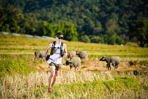 BIB: 
                            <button type="button" onclick="openModal(19127475)" class="btn btn-primary btn-sm float-right btn-popup" data-toggle="modal" data-target=".modal-high-quality">
                        <i class="fas fa-shopping-cart"></i> Add to Cart
                    </button>
                                            <button type="button" onclick="isThisMe(19127475, true)" class="btn btn-success btn-sm float-right btn-popup btn-isme hidden" data-toggle="tooltip" data-placement="bottom" title="นี่คือรูปของคุณใช่ไหม คลิกที่นี่เพื่อเอาเข้าอัลบั้ม">
                        <i class="fas fa-plus"></i> Add to album
                    </button>
                    <button type="button" onclick="isThisMe(19127475, false)" class="btn btn-warning btn-sm float-right btn-popup btn-isnotme hidden">
                        <i class="fas fa-ban"></i> Remove from album
                    </button>