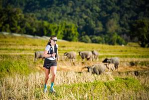 BIB: 
                            <button type="button" onclick="openModal(19127503)" class="btn btn-primary btn-sm float-right btn-popup" data-toggle="modal" data-target=".modal-high-quality">
                        <i class="fas fa-shopping-cart"></i> Add to Cart
                    </button>
                                            <button type="button" onclick="isThisMe(19127503, true)" class="btn btn-success btn-sm float-right btn-popup btn-isme hidden" data-toggle="tooltip" data-placement="bottom" title="นี่คือรูปของคุณใช่ไหม คลิกที่นี่เพื่อเอาเข้าอัลบั้ม">
                        <i class="fas fa-plus"></i> Add to album
                    </button>
                    <button type="button" onclick="isThisMe(19127503, false)" class="btn btn-warning btn-sm float-right btn-popup btn-isnotme hidden">
                        <i class="fas fa-ban"></i> Remove from album
                    </button>