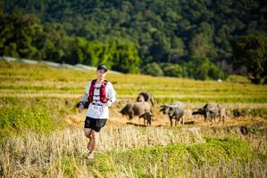 BIB: 1237
                            <button type="button" onclick="openModal(19127920)" class="btn btn-primary btn-sm float-right btn-popup" data-toggle="modal" data-target=".modal-high-quality">
                        <i class="fas fa-shopping-cart"></i> Add to Cart
                    </button>
                                            <button type="button" onclick="isThisMe(19127920, true)" class="btn btn-success btn-sm float-right btn-popup btn-isme hidden" data-toggle="tooltip" data-placement="bottom" title="นี่คือรูปของคุณใช่ไหม คลิกที่นี่เพื่อเอาเข้าอัลบั้ม">
                        <i class="fas fa-plus"></i> Add to album
                    </button>
                    <button type="button" onclick="isThisMe(19127920, false)" class="btn btn-warning btn-sm float-right btn-popup btn-isnotme hidden">
                        <i class="fas fa-ban"></i> Remove from album
                    </button>