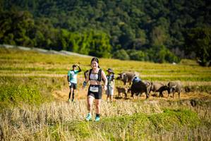 BIB: 
                            <button type="button" onclick="openModal(19128285)" class="btn btn-primary btn-sm float-right btn-popup" data-toggle="modal" data-target=".modal-high-quality">
                        <i class="fas fa-shopping-cart"></i> Add to Cart
                    </button>
                                            <button type="button" onclick="isThisMe(19128285, true)" class="btn btn-success btn-sm float-right btn-popup btn-isme hidden" data-toggle="tooltip" data-placement="bottom" title="นี่คือรูปของคุณใช่ไหม คลิกที่นี่เพื่อเอาเข้าอัลบั้ม">
                        <i class="fas fa-plus"></i> Add to album
                    </button>
                    <button type="button" onclick="isThisMe(19128285, false)" class="btn btn-warning btn-sm float-right btn-popup btn-isnotme hidden">
                        <i class="fas fa-ban"></i> Remove from album
                    </button>