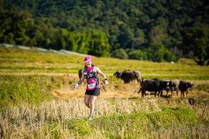 BIB: 
                            <button type="button" onclick="openModal(19128278)" class="btn btn-primary btn-sm float-right btn-popup" data-toggle="modal" data-target=".modal-high-quality">
                        <i class="fas fa-shopping-cart"></i> Add to Cart
                    </button>
                                            <button type="button" onclick="isThisMe(19128278, true)" class="btn btn-success btn-sm float-right btn-popup btn-isme hidden" data-toggle="tooltip" data-placement="bottom" title="นี่คือรูปของคุณใช่ไหม คลิกที่นี่เพื่อเอาเข้าอัลบั้ม">
                        <i class="fas fa-plus"></i> Add to album
                    </button>
                    <button type="button" onclick="isThisMe(19128278, false)" class="btn btn-warning btn-sm float-right btn-popup btn-isnotme hidden">
                        <i class="fas fa-ban"></i> Remove from album
                    </button>