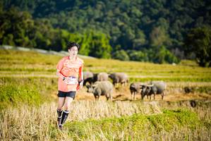 BIB: 
                            <button type="button" onclick="openModal(19127446)" class="btn btn-primary btn-sm float-right btn-popup" data-toggle="modal" data-target=".modal-high-quality">
                        <i class="fas fa-shopping-cart"></i> Add to Cart
                    </button>
                                            <button type="button" onclick="isThisMe(19127446, true)" class="btn btn-success btn-sm float-right btn-popup btn-isme hidden" data-toggle="tooltip" data-placement="bottom" title="นี่คือรูปของคุณใช่ไหม คลิกที่นี่เพื่อเอาเข้าอัลบั้ม">
                        <i class="fas fa-plus"></i> Add to album
                    </button>
                    <button type="button" onclick="isThisMe(19127446, false)" class="btn btn-warning btn-sm float-right btn-popup btn-isnotme hidden">
                        <i class="fas fa-ban"></i> Remove from album
                    </button>