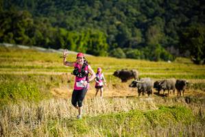 BIB: 
                            <button type="button" onclick="openModal(19128275)" class="btn btn-primary btn-sm float-right btn-popup" data-toggle="modal" data-target=".modal-high-quality">
                        <i class="fas fa-shopping-cart"></i> Add to Cart
                    </button>
                                            <button type="button" onclick="isThisMe(19128275, true)" class="btn btn-success btn-sm float-right btn-popup btn-isme hidden" data-toggle="tooltip" data-placement="bottom" title="นี่คือรูปของคุณใช่ไหม คลิกที่นี่เพื่อเอาเข้าอัลบั้ม">
                        <i class="fas fa-plus"></i> Add to album
                    </button>
                    <button type="button" onclick="isThisMe(19128275, false)" class="btn btn-warning btn-sm float-right btn-popup btn-isnotme hidden">
                        <i class="fas fa-ban"></i> Remove from album
                    </button>