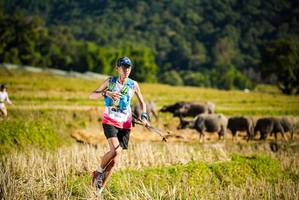 BIB: 2014
                            <button type="button" onclick="openModal(19127653)" class="btn btn-primary btn-sm float-right btn-popup" data-toggle="modal" data-target=".modal-high-quality">
                        <i class="fas fa-shopping-cart"></i> Add to Cart
                    </button>
                                            <button type="button" onclick="isThisMe(19127653, true)" class="btn btn-success btn-sm float-right btn-popup btn-isme hidden" data-toggle="tooltip" data-placement="bottom" title="นี่คือรูปของคุณใช่ไหม คลิกที่นี่เพื่อเอาเข้าอัลบั้ม">
                        <i class="fas fa-plus"></i> Add to album
                    </button>
                    <button type="button" onclick="isThisMe(19127653, false)" class="btn btn-warning btn-sm float-right btn-popup btn-isnotme hidden">
                        <i class="fas fa-ban"></i> Remove from album
                    </button>