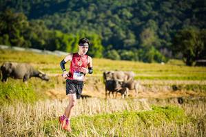 BIB: 1237, 
                            <button type="button" onclick="openModal(19127393)" class="btn btn-primary btn-sm float-right btn-popup" data-toggle="modal" data-target=".modal-high-quality">
                        <i class="fas fa-shopping-cart"></i> Add to Cart
                    </button>
                                            <button type="button" onclick="isThisMe(19127393, true)" class="btn btn-success btn-sm float-right btn-popup btn-isme hidden" data-toggle="tooltip" data-placement="bottom" title="นี่คือรูปของคุณใช่ไหม คลิกที่นี่เพื่อเอาเข้าอัลบั้ม">
                        <i class="fas fa-plus"></i> Add to album
                    </button>
                    <button type="button" onclick="isThisMe(19127393, false)" class="btn btn-warning btn-sm float-right btn-popup btn-isnotme hidden">
                        <i class="fas fa-ban"></i> Remove from album
                    </button>