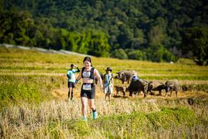 BIB: 1764
                            <button type="button" onclick="openModal(19128288)" class="btn btn-primary btn-sm float-right btn-popup" data-toggle="modal" data-target=".modal-high-quality">
                        <i class="fas fa-shopping-cart"></i> Add to Cart
                    </button>
                                            <button type="button" onclick="isThisMe(19128288, true)" class="btn btn-success btn-sm float-right btn-popup btn-isme hidden" data-toggle="tooltip" data-placement="bottom" title="นี่คือรูปของคุณใช่ไหม คลิกที่นี่เพื่อเอาเข้าอัลบั้ม">
                        <i class="fas fa-plus"></i> Add to album
                    </button>
                    <button type="button" onclick="isThisMe(19128288, false)" class="btn btn-warning btn-sm float-right btn-popup btn-isnotme hidden">
                        <i class="fas fa-ban"></i> Remove from album
                    </button>